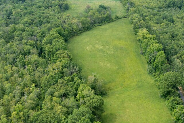 LOT1060804 Popple Swamp Rd, Washington, CT 06794 - photo 5
