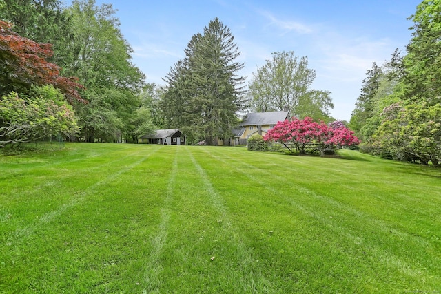 12 Lords Hwy E, Weston, CT 06883 - view of green lawn