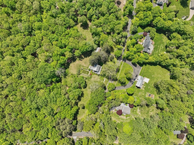 12 Lords Hwy E, Weston, CT 06883 - bird's eye view