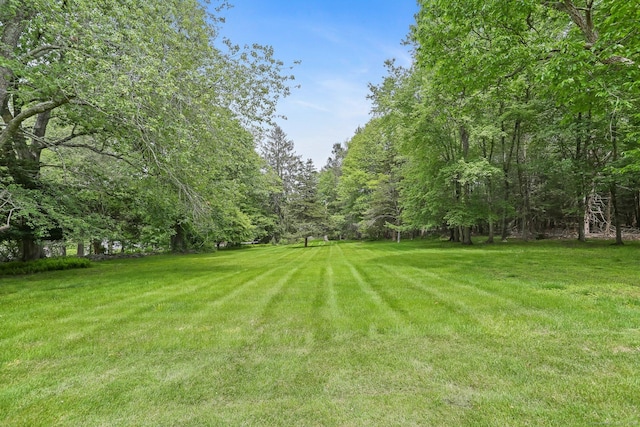 12 Lords Hwy E, Weston, CT 06883 - view of green lawn featuring a wooded view