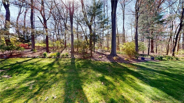 12 Cardinal Dr Unit 12, Farmington, CT 06032 - view of grassy yard