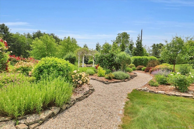 45 Snell Rd, Middlefield, CT 06422 - view of yard