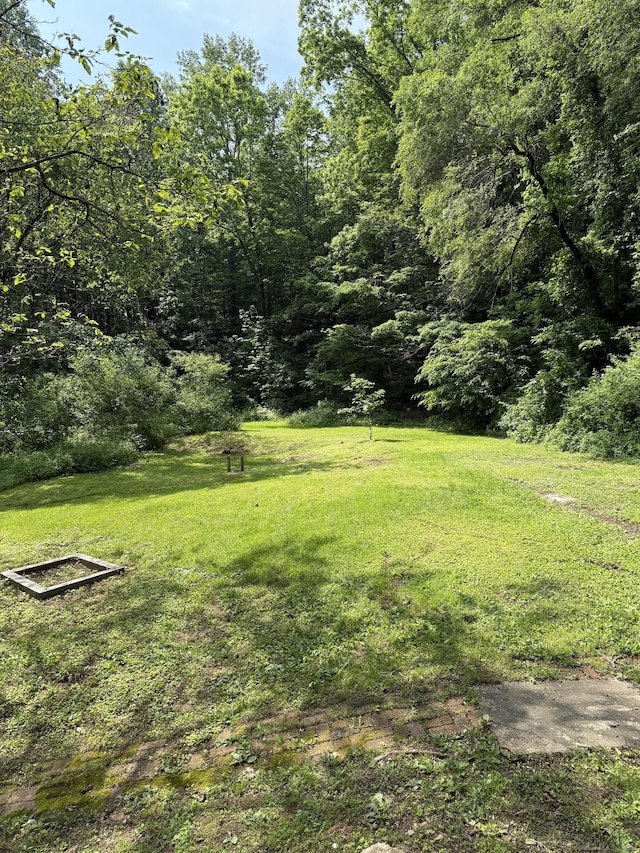 116 Howd Rd, Durham, CT 06422 - view of green lawn