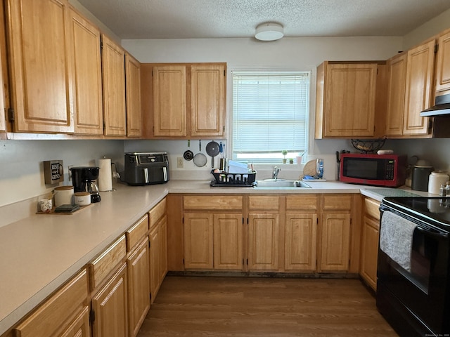 337 Zion St, Hartford, CT 06106 - kitchen featuring black range with electric cooktop, light countertops, dark wood-style floors, and a textured ceiling