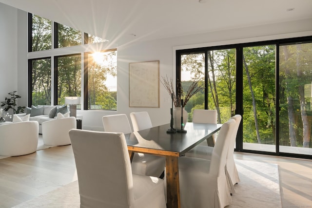 22 Limekiln Rd, Redding, CT 06896 - dining area featuring healthy amount of natural light and light wood-style floors