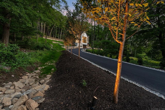 22 Limekiln Rd, Redding, CT 06896 - view of asphalt driveway