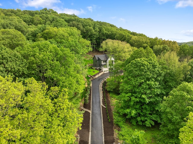 22 Limekiln Rd, Redding, CT 06896 - view of subject property featuring a forest