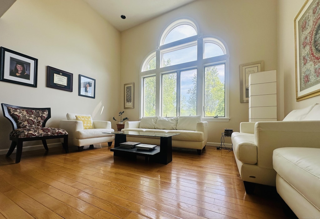 7 Trumbull Ln, Farmington, CT 06032 - living room with healthy amount of natural light, high vaulted ceiling, hardwood / wood-style flooring, and baseboards