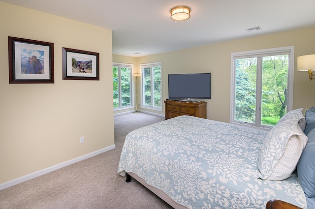 156 Main St, Ridgefield, CT 06877 - bedroom featuring carpet floors, baseboards, and multiple windows
