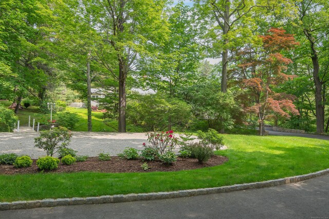 156 Main St, Ridgefield, CT 06877 - view of community with a yard