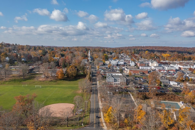 156 Main St, Ridgefield, CT 06877 - aerial view of property's location with nearby suburban area