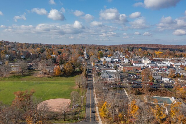 156 Main St, Ridgefield, CT 06877 - aerial view of property's location with nearby suburban area