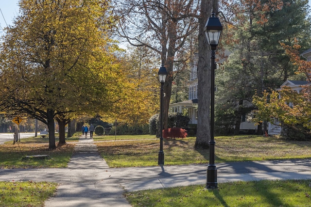 156 Main St, Ridgefield, CT 06877 - view of property's community