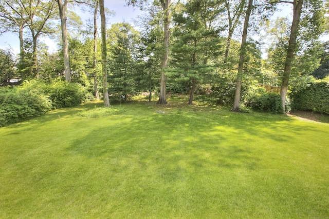 59 Thornhill Rd, Fairfield, CT 06824 - view of grassy yard