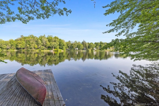 159 Mountain Rd, Ridgefield, CT 06877 - dock area with a water view and a view of trees