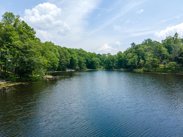 159 Mountain Rd, Ridgefield, CT 06877 - water view featuring a forest