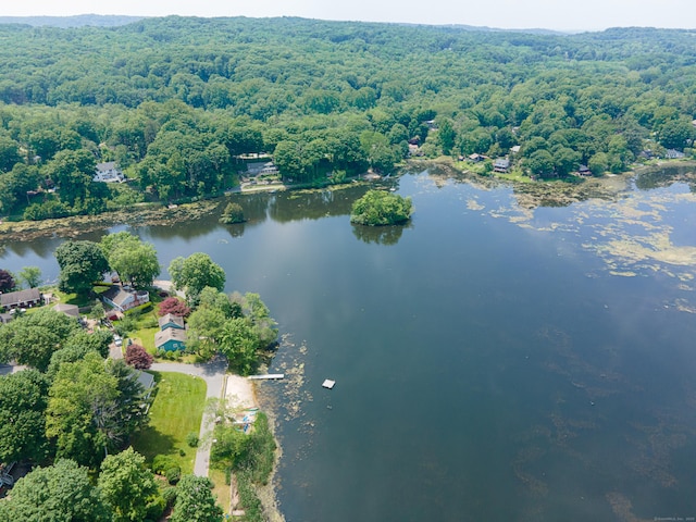 159 Mountain Rd, Ridgefield, CT 06877 - aerial view of a nearby body of water and a forest
