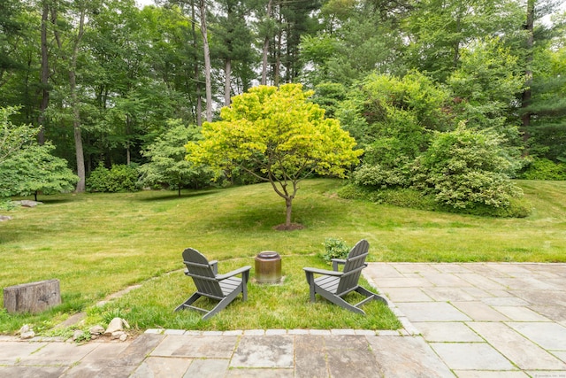 15 Hallsey Ln, Woodbridge, CT 06525 - view of green lawn