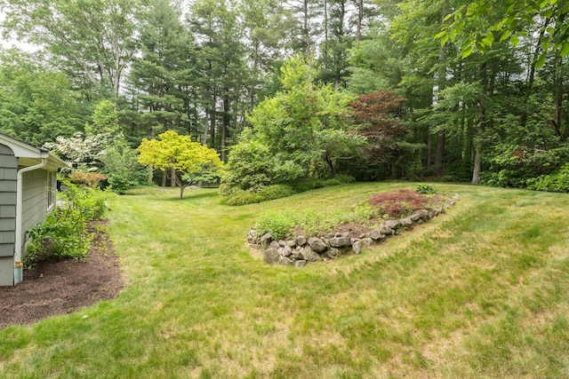 15 Hallsey Ln, Woodbridge, CT 06525 - view of grassy yard