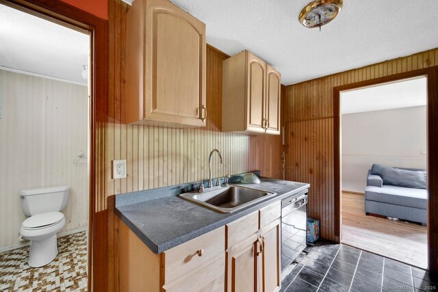 18 Robbie Rd, East Haddam, CT 06469 - kitchen featuring a sink, stainless steel dishwasher, dark countertops, light brown cabinetry, and dark tile patterned flooring