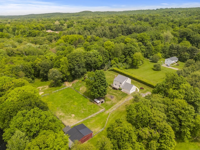 aerial view of a forest