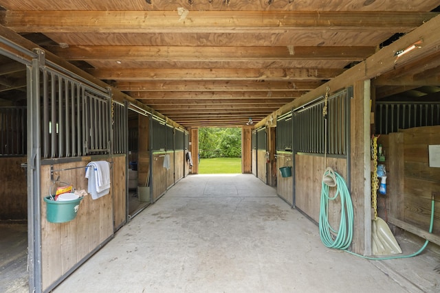view of horse barn