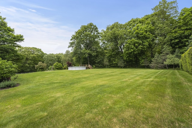 view of green lawn with a forest view