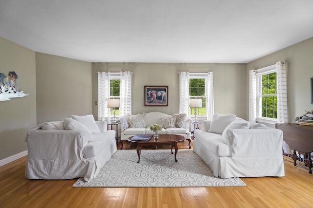 living room featuring wood finished floors and baseboards