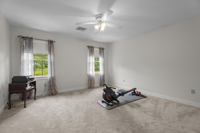 exercise area featuring plenty of natural light, a ceiling fan, carpet, and baseboards