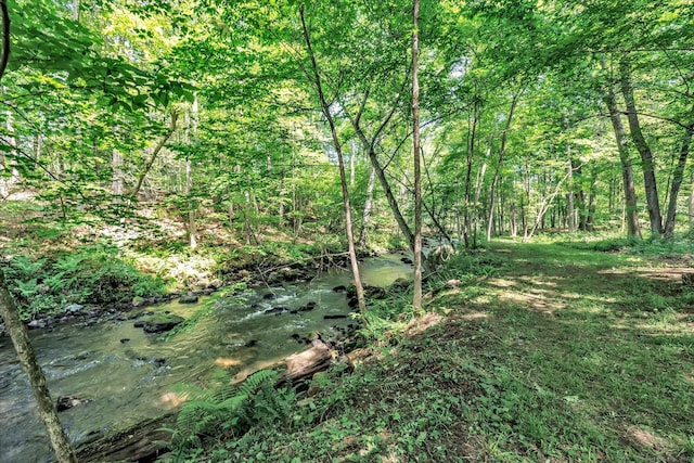 159 Merryall Rd, New Milford, CT 06776 - photo 37