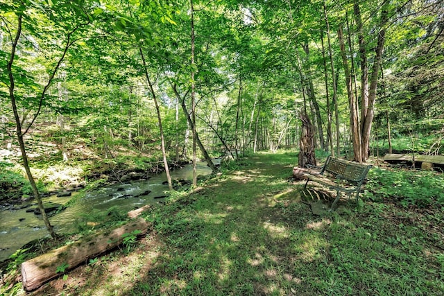 159 Merryall Rd, New Milford, CT 06776 - photo 36