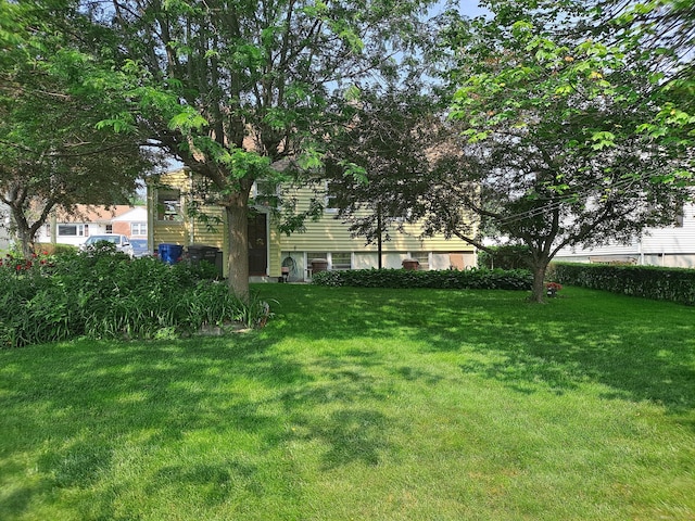 746 Hillside Ave, Hartford, CT 06106 - view of green lawn