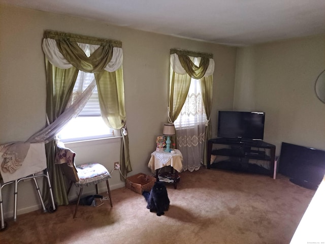 746 Hillside Ave, Hartford, CT 06106 - sitting room with carpet floors