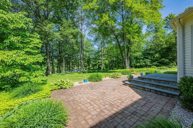 87 Falcon Crest Rd, Middlebury, CT 06762 - view of patio