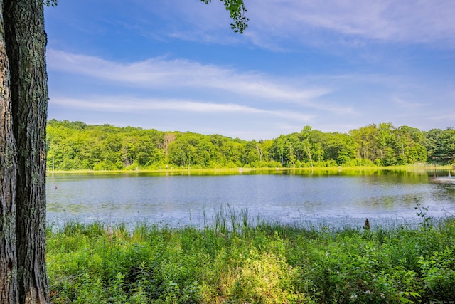 87 Falcon Crest Rd, Middlebury, CT 06762 - water view with a forest