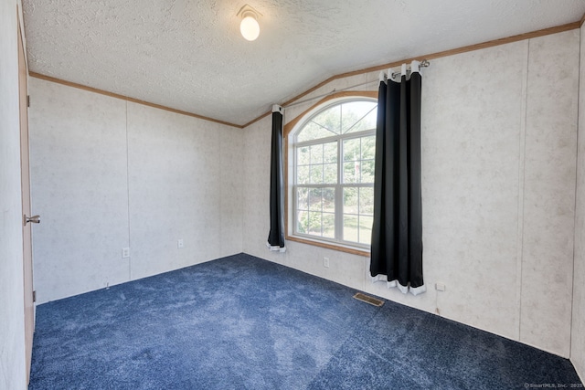 107 Lions Way, Windham, CT 06256 - spare room featuring a textured ceiling, lofted ceiling, carpet, and ornamental molding