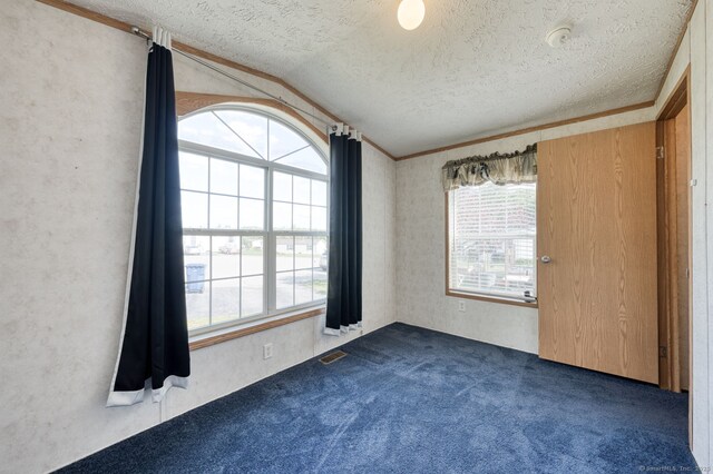 107 Lions Way, Windham, CT 06256 - carpeted spare room featuring plenty of natural light, a textured ceiling, and vaulted ceiling
