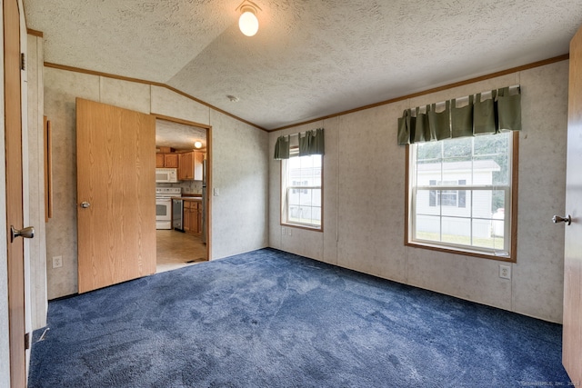107 Lions Way, Windham, CT 06256 - unfurnished room with vaulted ceiling, a textured ceiling, carpet, and ornamental molding
