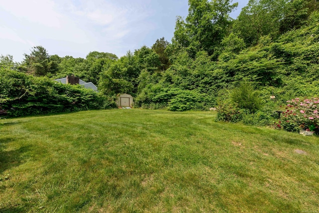 34 Cedar Rock Rd, Woodbridge, CT 06525 - view of green lawn