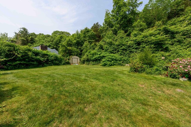 34 Cedar Rock Rd, Woodbridge, CT 06525 - photo 39