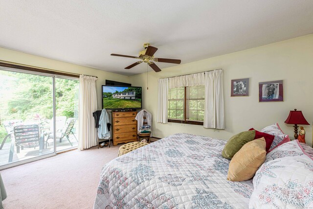 34 Cedar Rock Rd, Woodbridge, CT 06525 - photo 29