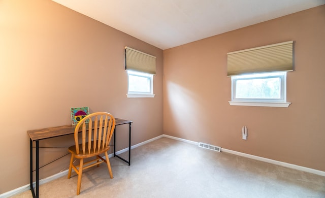 227 Thistle Ln, Southington, CT 06489 - office space with carpet flooring and baseboards