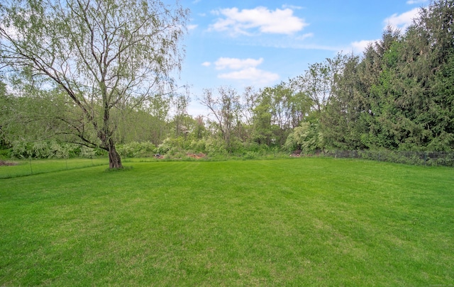 227 Thistle Ln, Southington, CT 06489 - view of yard
