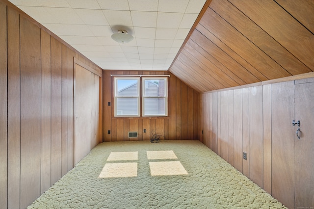 24 Goff St, Waterbury, CT 06704 - additional living space featuring wood walls and carpet floors