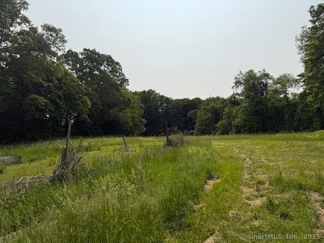 789 Tuttle Ave, Hamden, CT 06518 - view of wooded area with a rural view