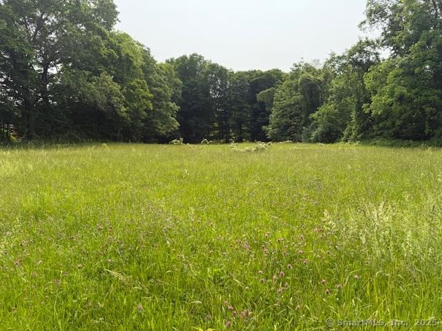789 Tuttle Ave, Hamden, CT 06518 - view of local wilderness