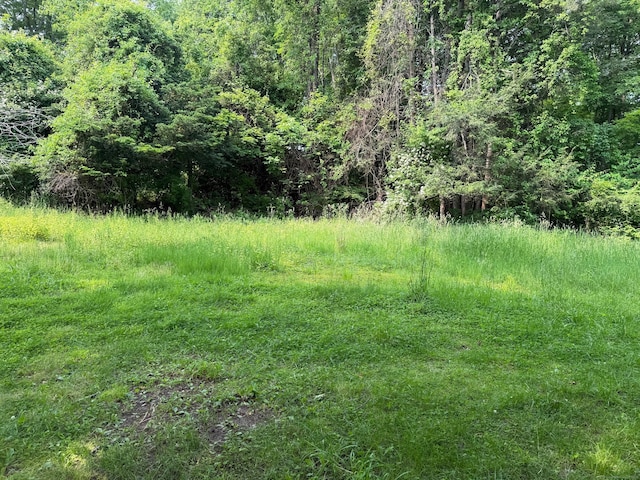 789 Tuttle Ave, Hamden, CT 06518 - view of woods