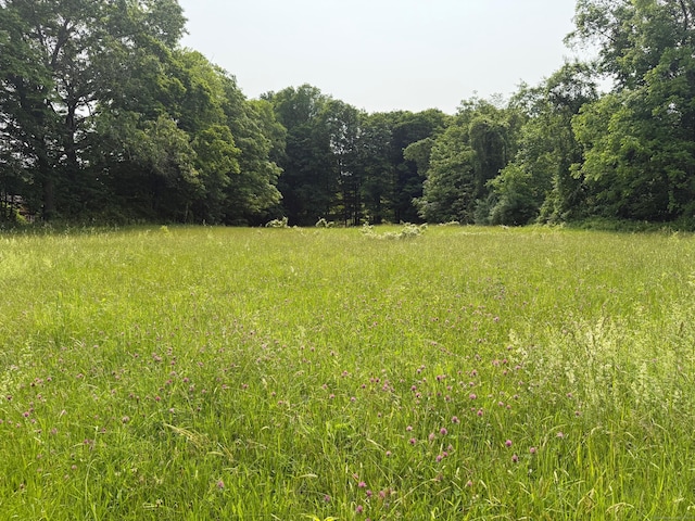 789 Tuttle Ave, Hamden, CT 06518 - view of wooded area