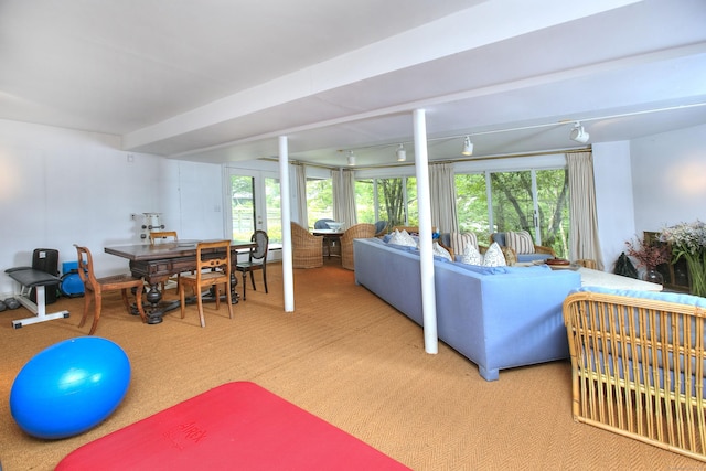 62 Wells Hill Rd, Weston, CT 06883 - view of carpeted living room