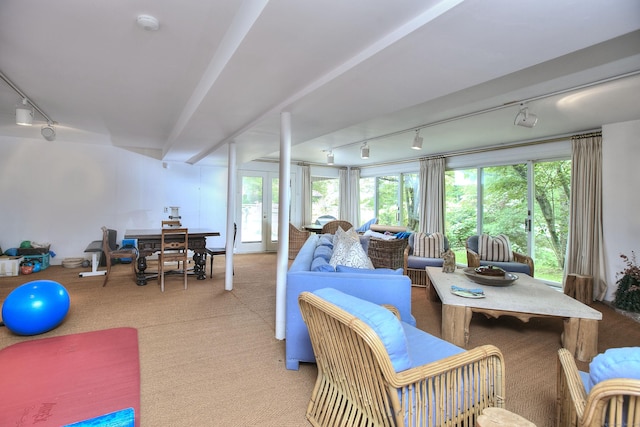 62 Wells Hill Rd, Weston, CT 06883 - sunroom with track lighting and french doors